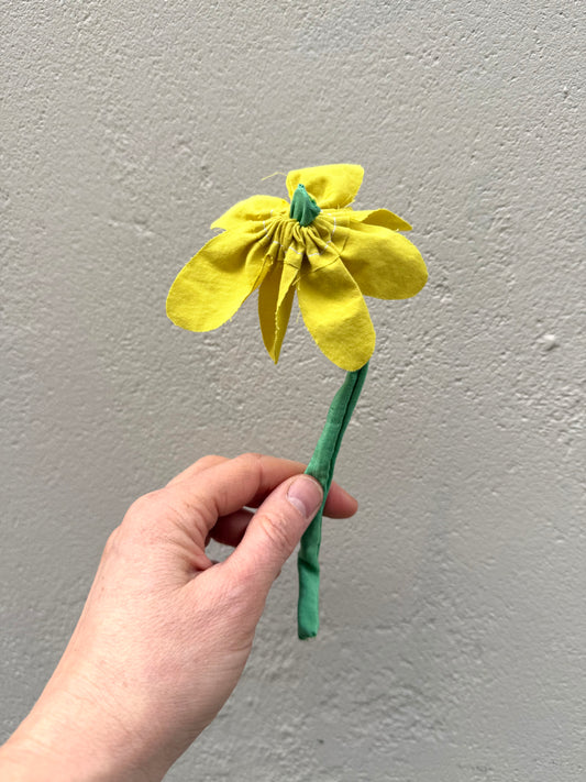 Evighedsblomst