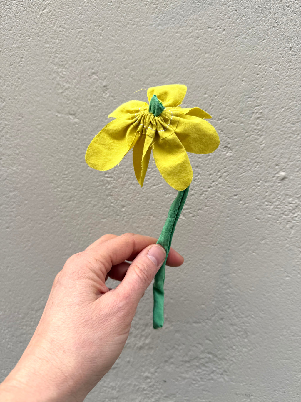 Evighedsblomst