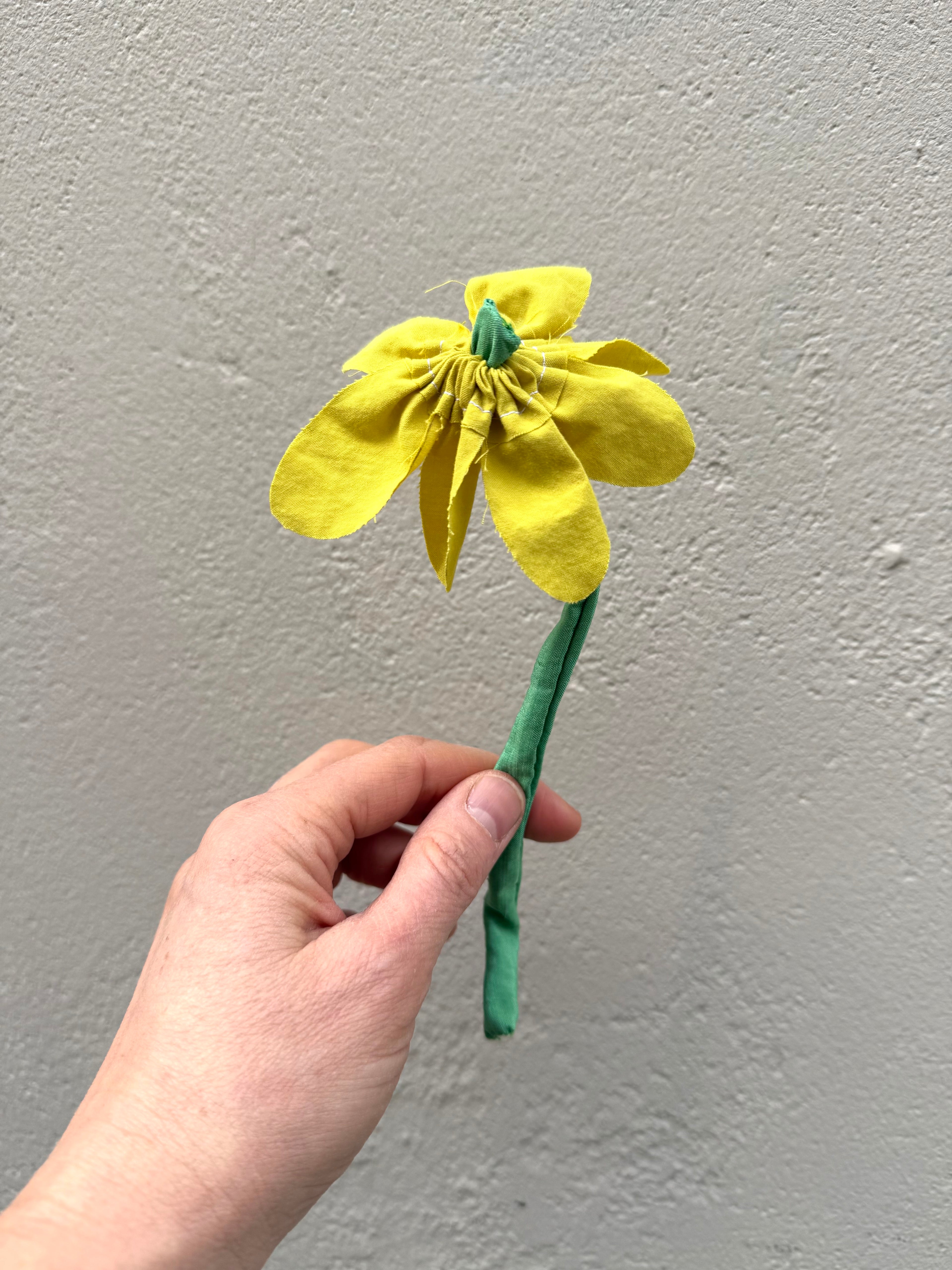 Evighedsblomst