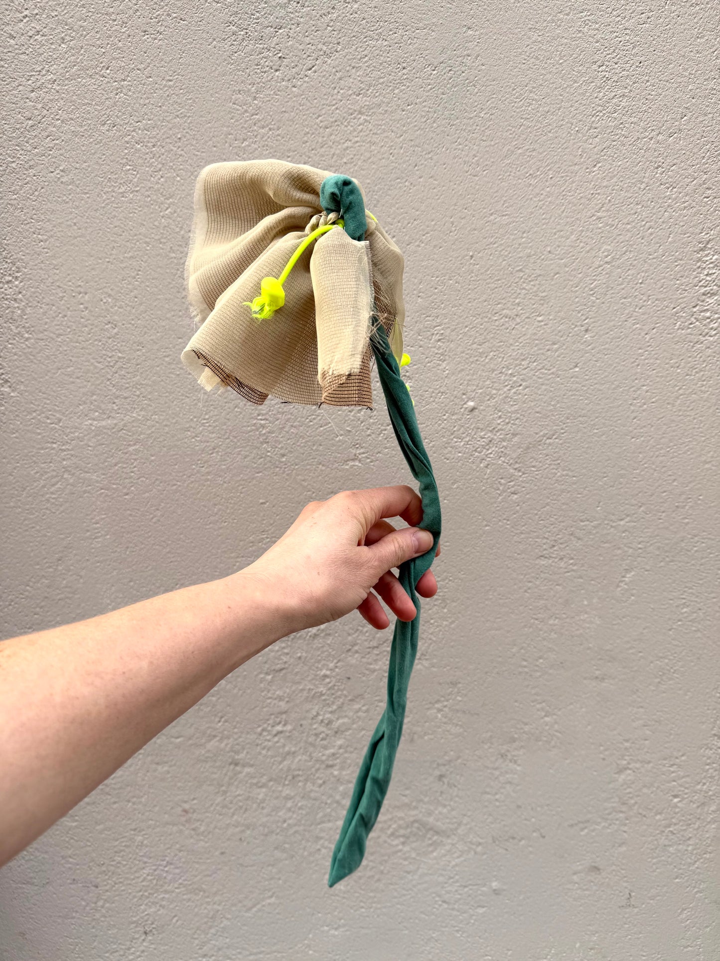 Evighedsblomst