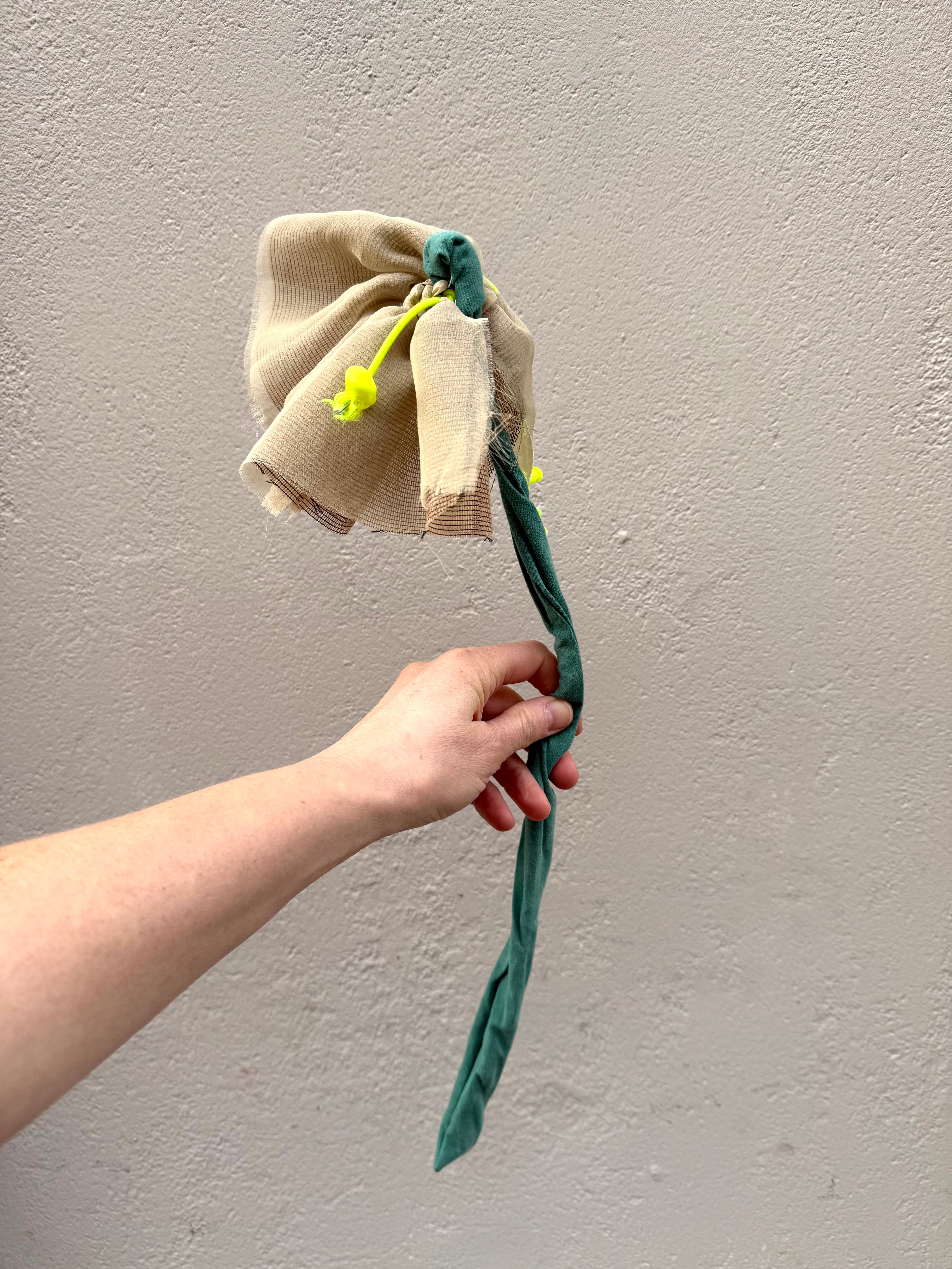 Evighedsblomst